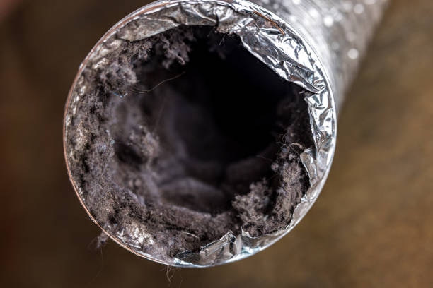 Best Best Air Duct Cleaning Company  in Rising Sun Lebanon, DE