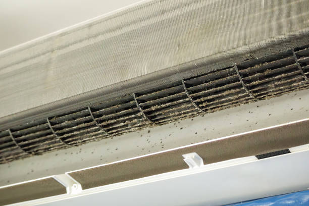 Best Air Duct Cleaning Near Me  in Rising Sun Lebanon, DE